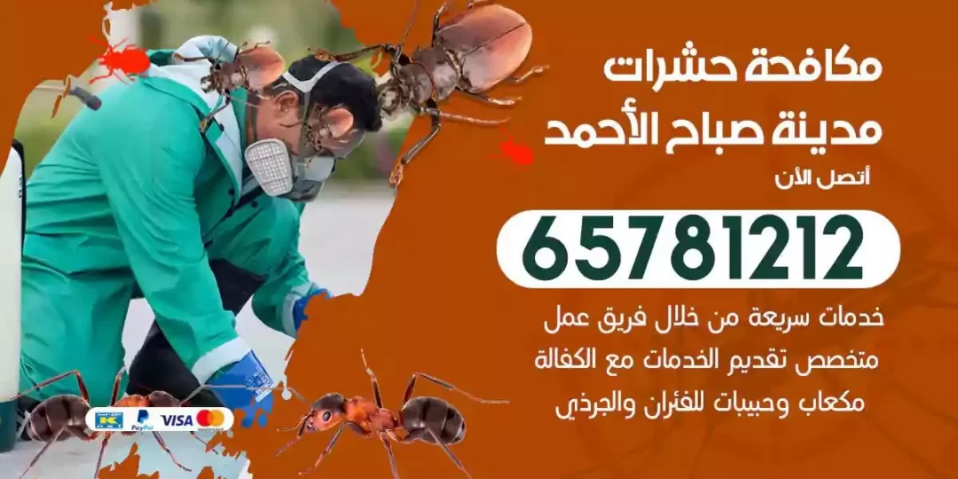 شركة مكافحة حشرات مدينة صباح الاحمد