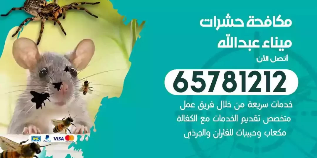 شركة مكافحة حشرات ميناء عبدالله
